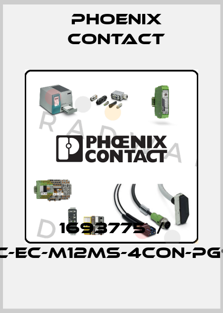 1693775  / SACC-EC-M12MS-4CON-PG9/0,5 Phoenix Contact