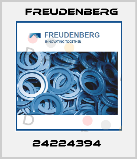 24224394  Freudenberg