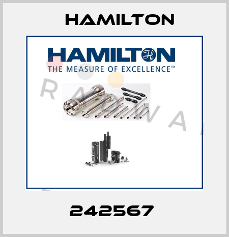 242567  Hamilton
