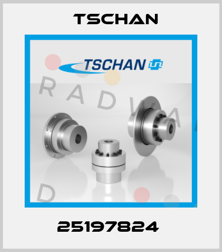 25197824  Tschan