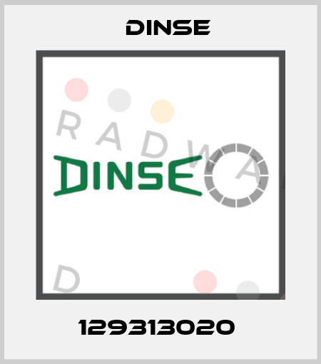 129313020  Dinse