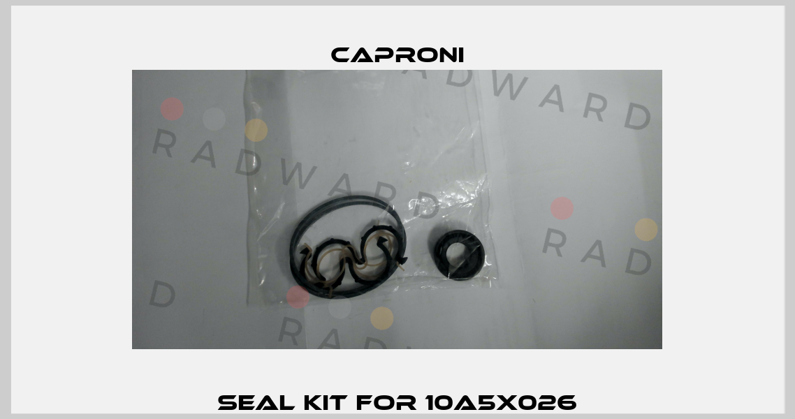 seal kit for 10A5X026 Caproni