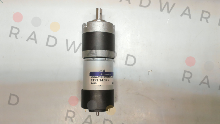 E192.24.125 Micro Motors