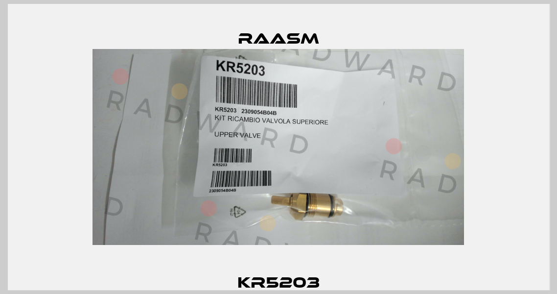 KR5203 Raasm