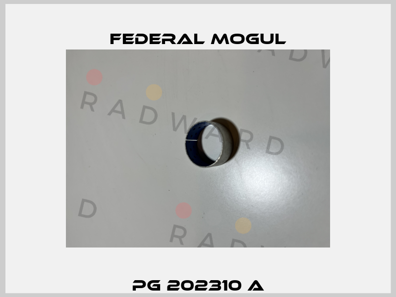 PG 202310 A Federal Mogul