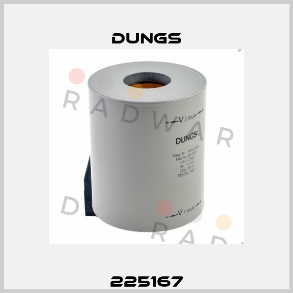 225167 Dungs