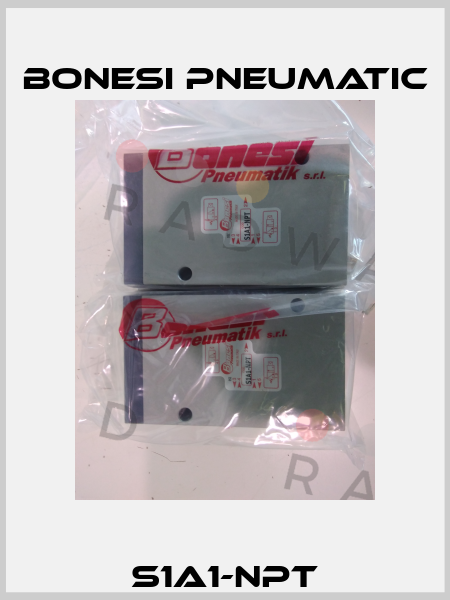 S1A1-NPT Bonesi Pneumatic