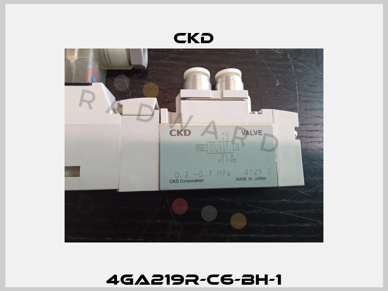 4GA219R-C6-BH-1 Ckd