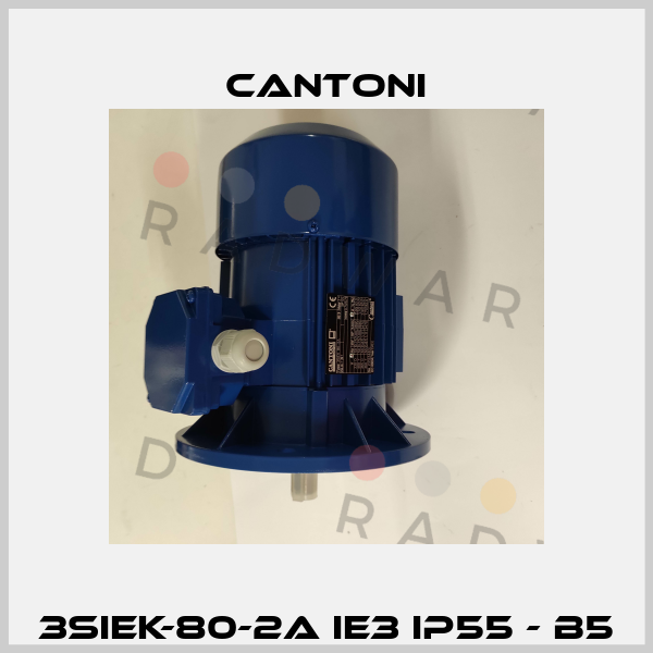 3SIEK-80-2A IE3 IP55 - B5 Cantoni