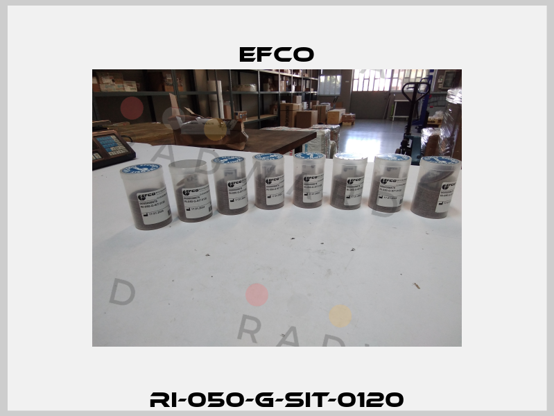 RI-050-G-SIT-0120 Efco