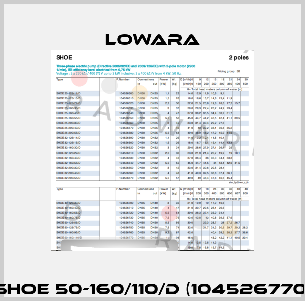 SHOE 50-160/110/D (104526770) Lowara