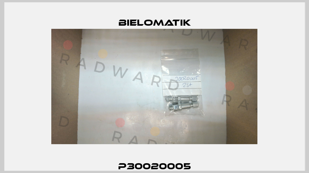 P30020005 Bielomatik
