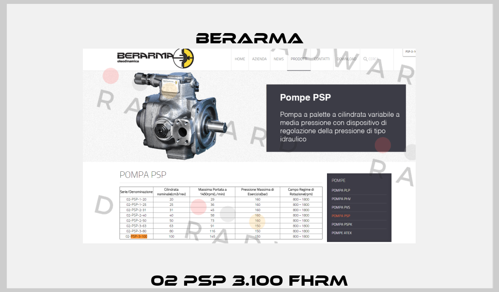 02 PSP 3.100 FHRM Berarma