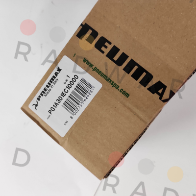 PG1A301EC10000 Pneumax
