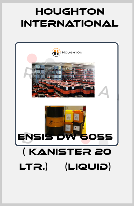 Ensis DW 6055  ( Kanister 20 ltr.)     (liquid)  Houghton International