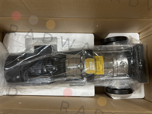 MSVF3-60 Rae Pumps