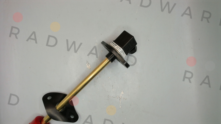 SSM.1.B5.180.5.S1 Engler