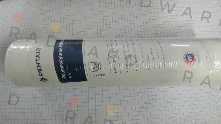 PS5-10 Pentek (Pentair)