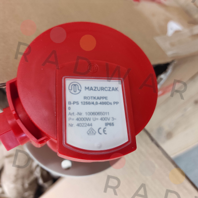 B-PS 1250/4,0-400Ds PP0 / 1006065011 Mazurczak