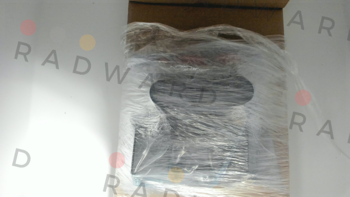 WE255-4R100Z24/0H Voith