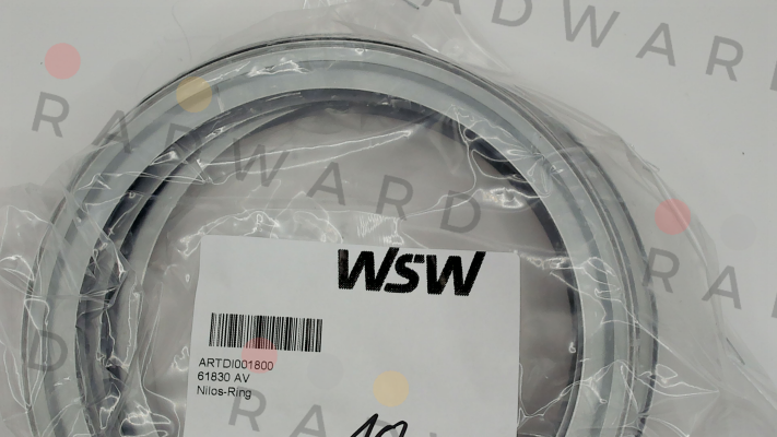 61830 AV WSW  Wälzlager