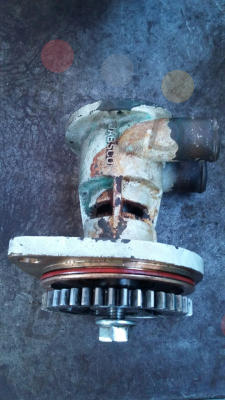 0444-8300 - OEM  Jabsco