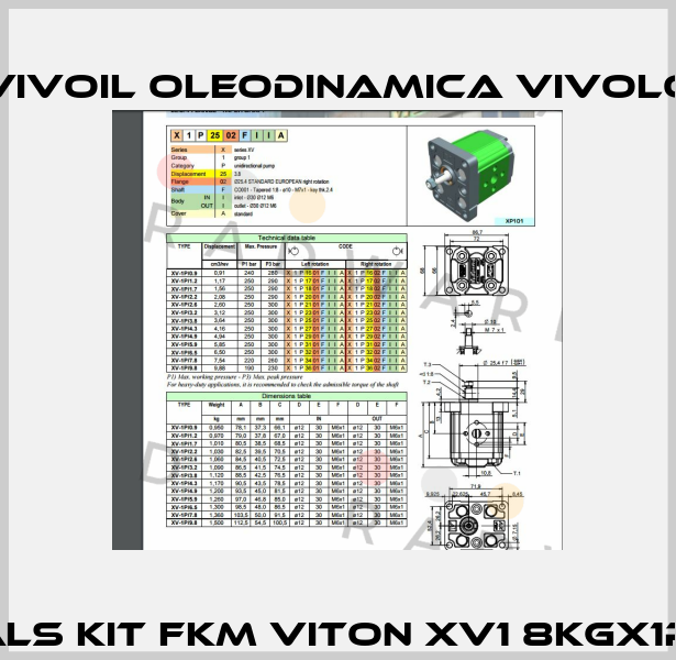 Seals kit FKM VITON XV1 8KGX1P1.V  Vivoil Oleodinamica Vivolo