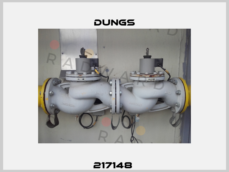 217148  Dungs