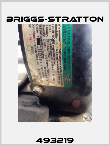 493219 Briggs-Stratton