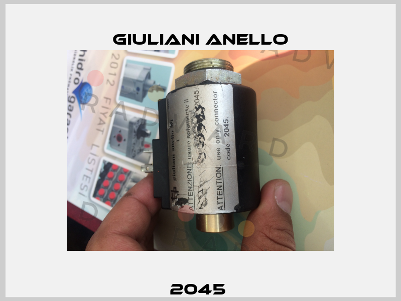 2045  Giuliani Anello