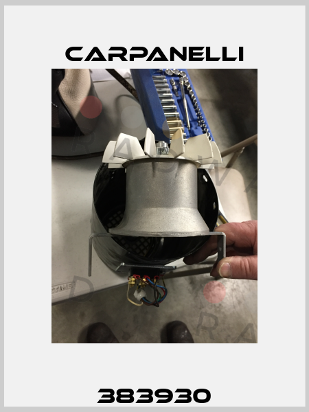 383930 Carpanelli