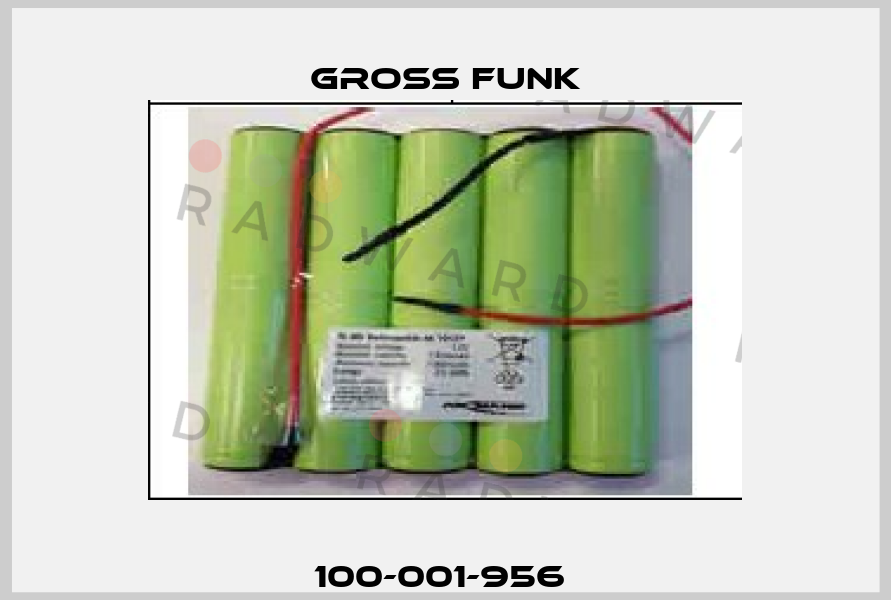 100-001-956  Gross Funk