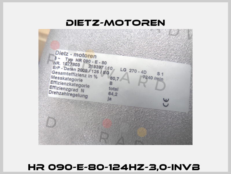 HR 090-E-80-124HZ-3,0-INVB  Dietz-Motoren
