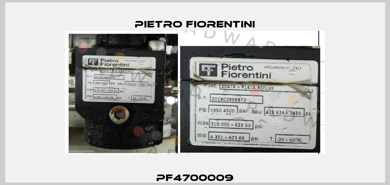 PF4700009 Pietro Fiorentini