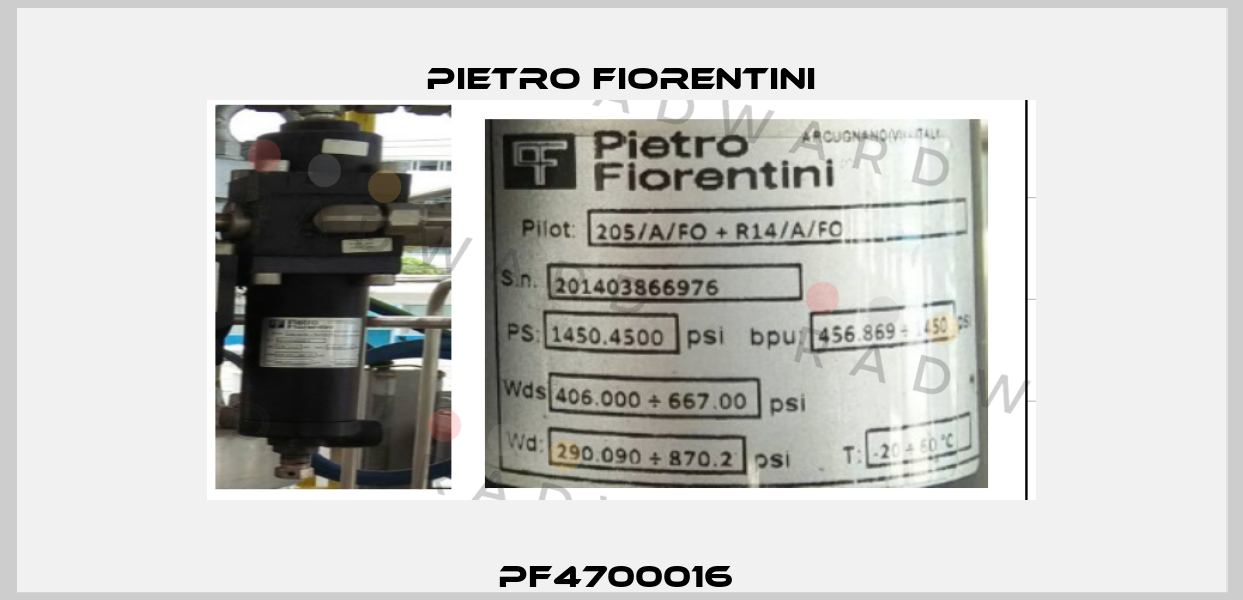 PF4700016  Pietro Fiorentini