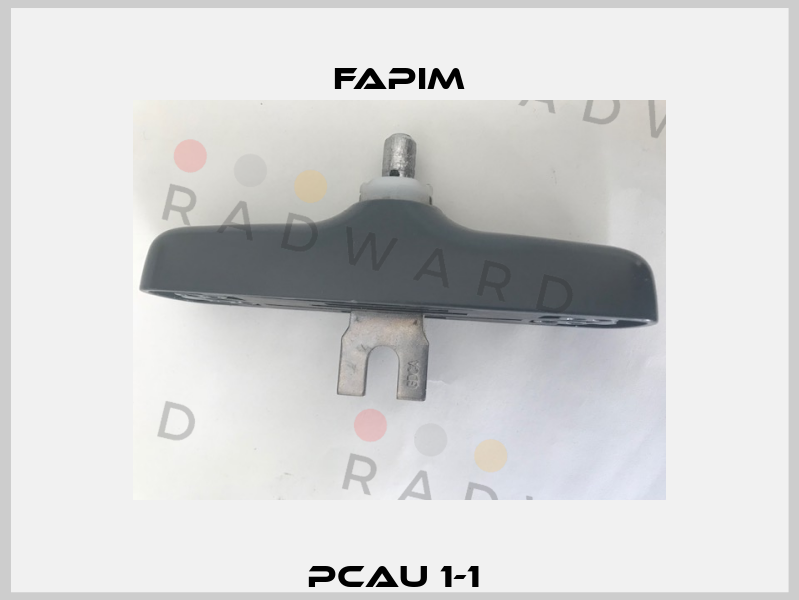 PCAU 1-1  Fapim