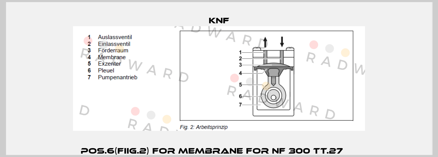 Pos.6(fiig.2) for membrane for NF 300 TT.27АА  KNF