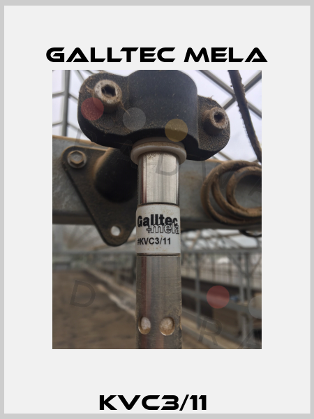 KVC3/11  Galltec Mela