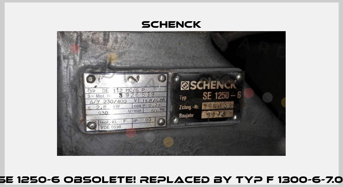SE 1250-6 Obsolete! Replaced by Typ F 1300-6-7.0  Schenck