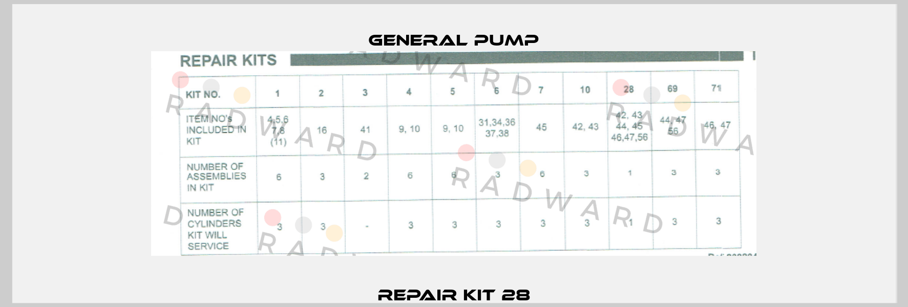 Repair Kit 28 General Pump