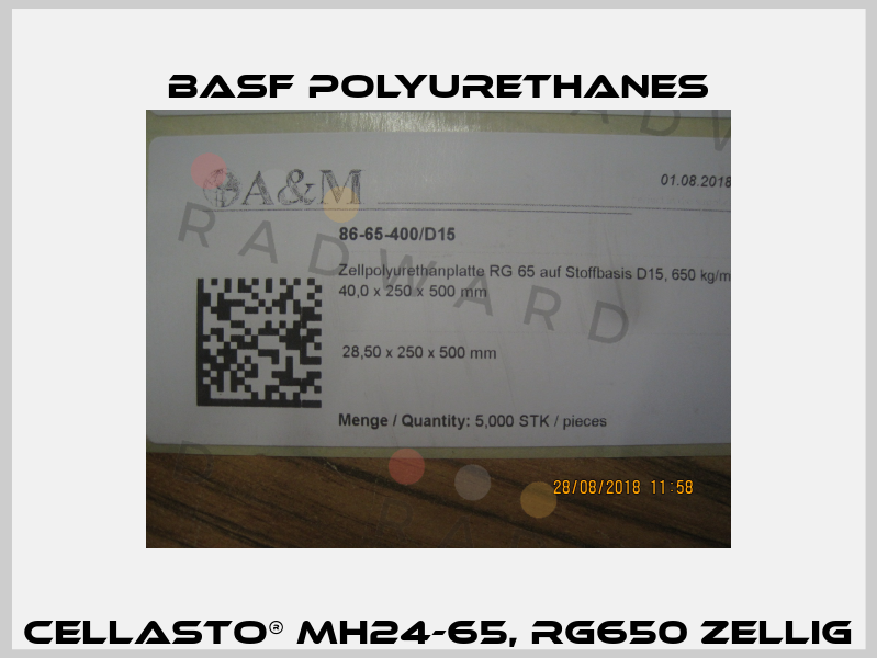 CELLASTO® MH24-65, RG650 ZELLIG BASF Polyurethanes