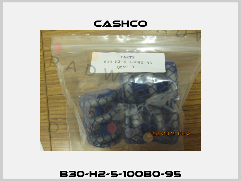830-H2-5-10080-95 Cashco