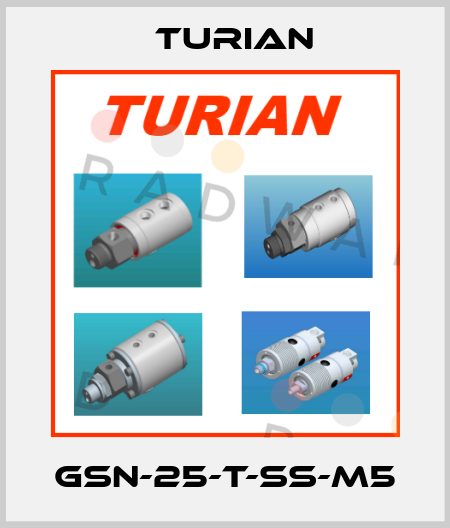 GSN-25-T-SS-M5 Turian