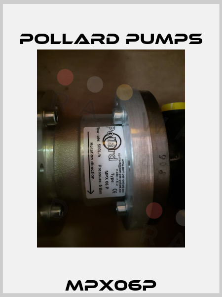 MPX06P Pollard pumps