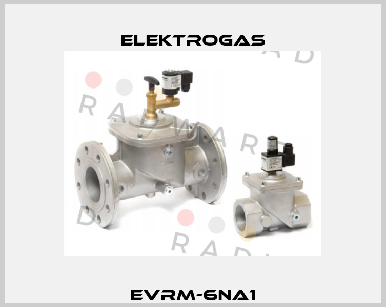 EVRM-6NA1 Elektrogas