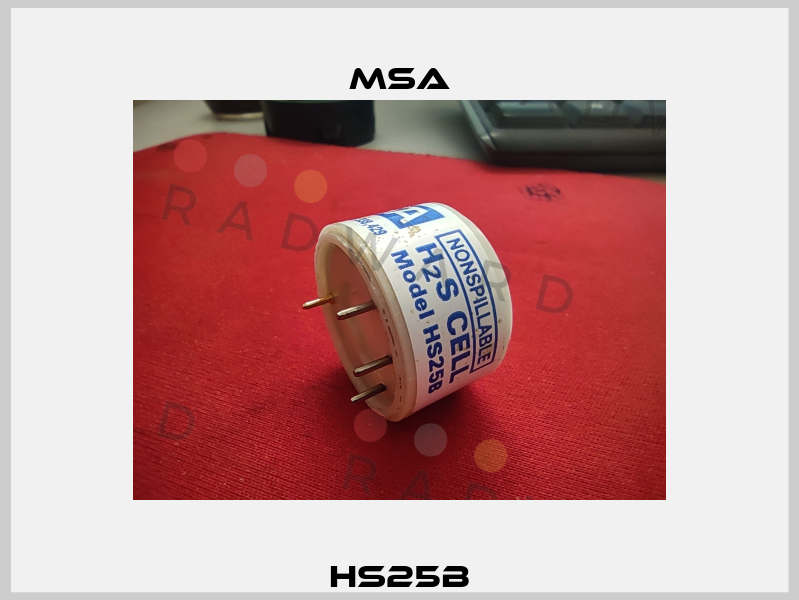 HS25B Msa