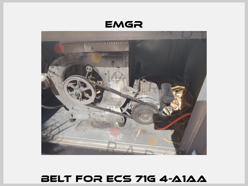 Belt for ECS 71G 4-A1AA EMGR