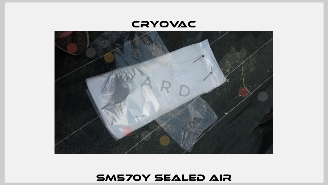 SM570Y Sealed air Cryovac