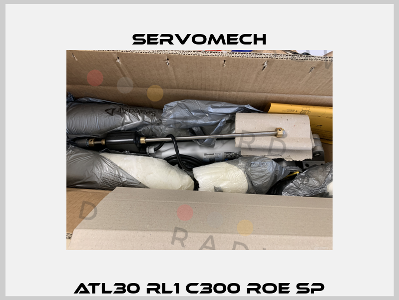 ATL30 RL1 C300 ROE SP Servomech