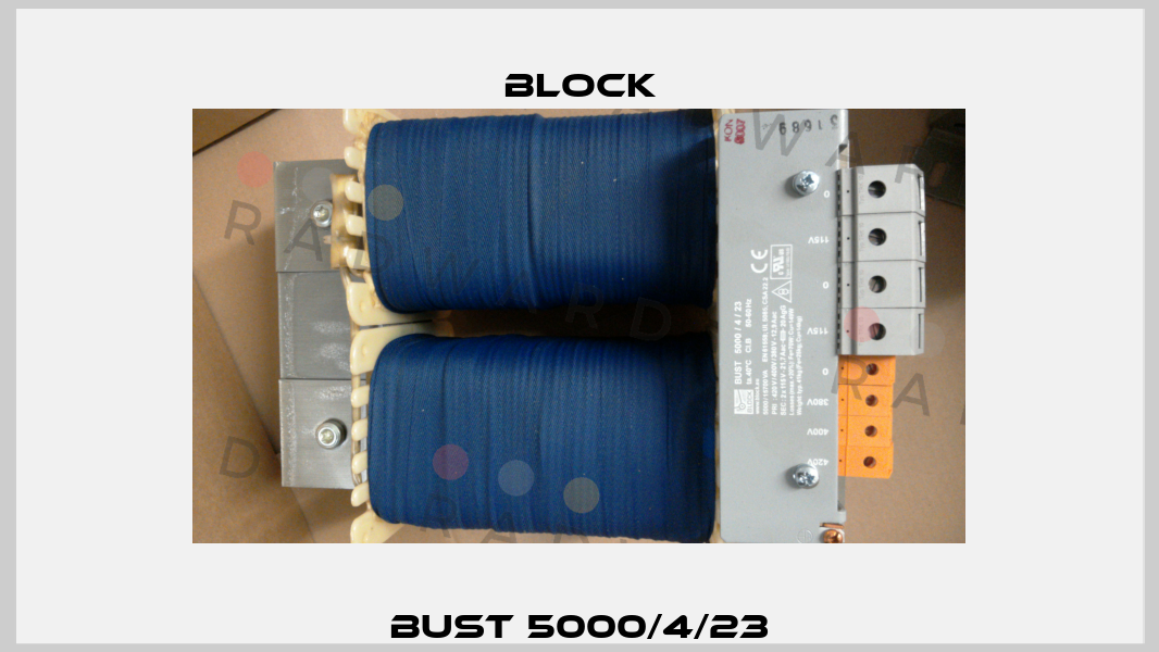 BUST 5000/4/23 Block
